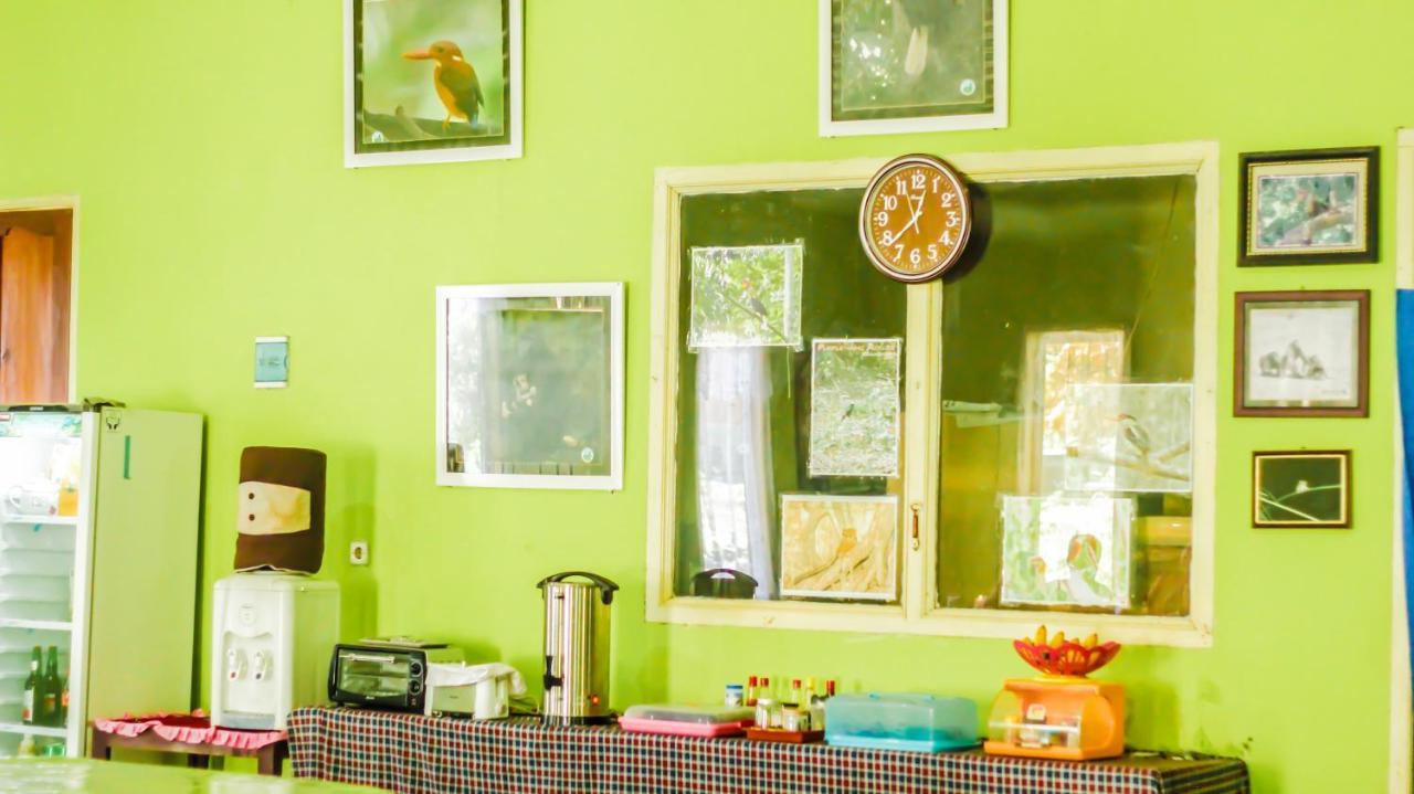 Tangkoko Lodge Bitung Ngoại thất bức ảnh