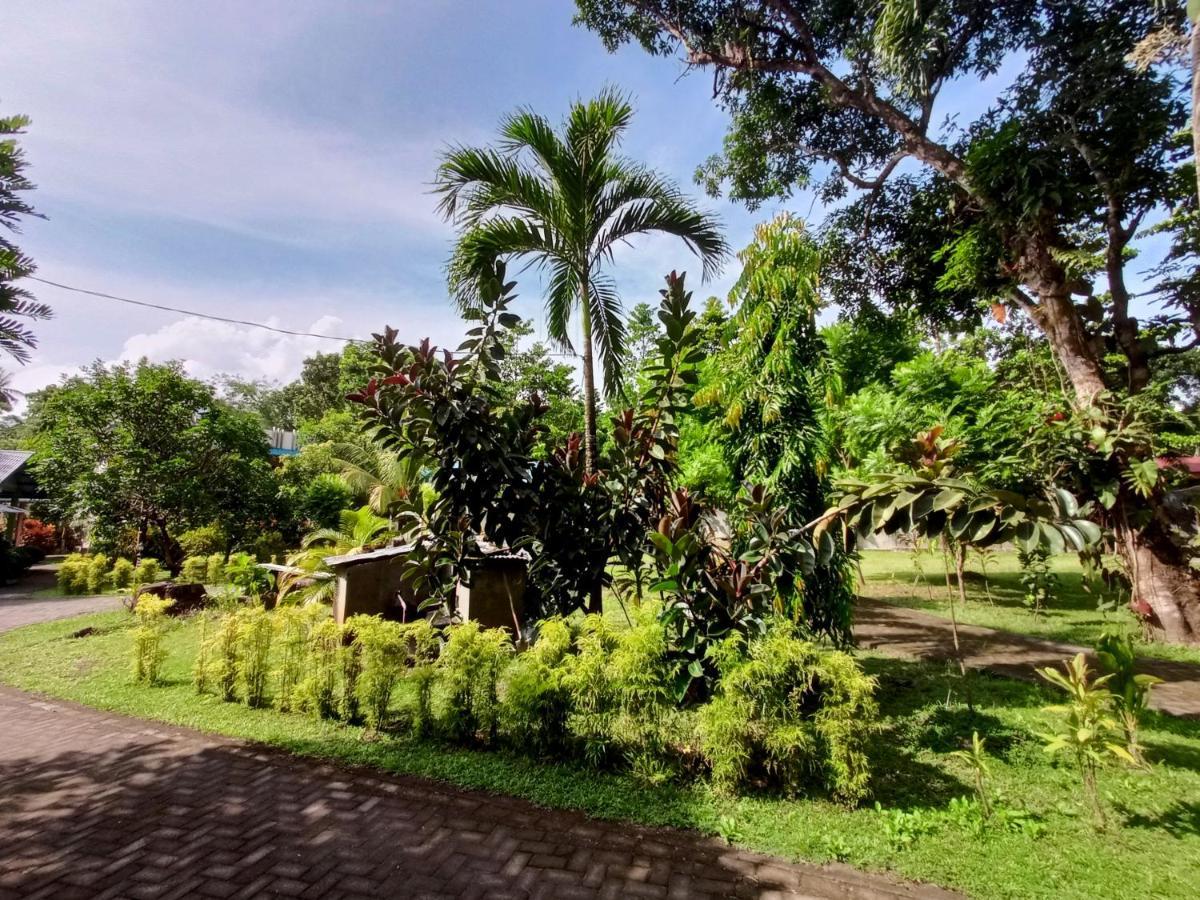 Tangkoko Lodge Bitung Ngoại thất bức ảnh
