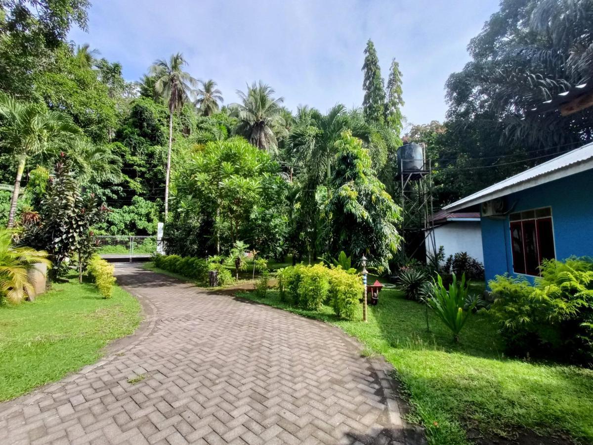 Tangkoko Lodge Bitung Ngoại thất bức ảnh