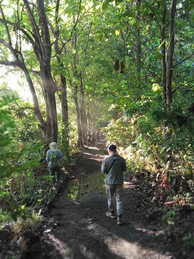 Tangkoko Lodge Bitung Ngoại thất bức ảnh